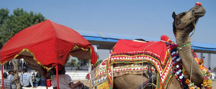Jaisalmer Tour 3 Days